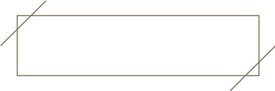 Vita und Expertise RENÉ FREIGEIST
